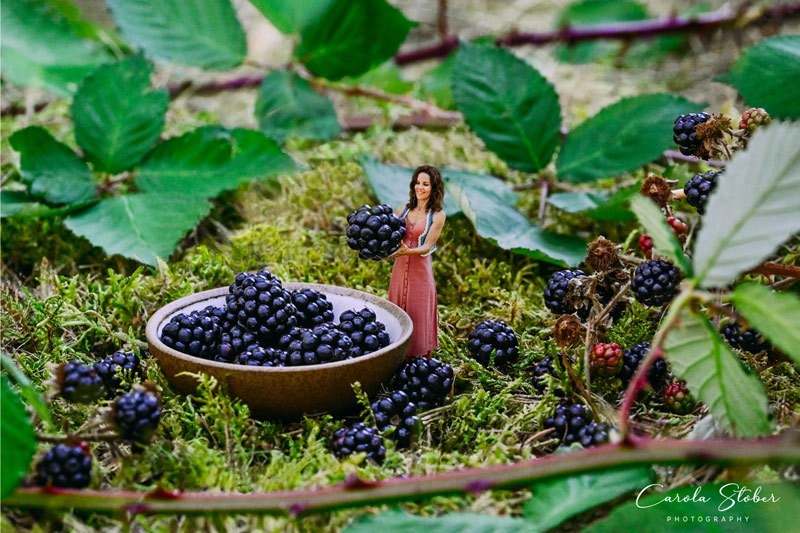 Heilkräfte von Brombeeren
